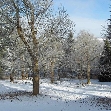 Chambres D'Hotes Le Chalet Condat-sur-Vienne Exterior foto